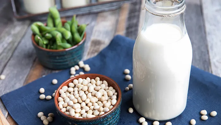 [Translate to Niederländisch:] 